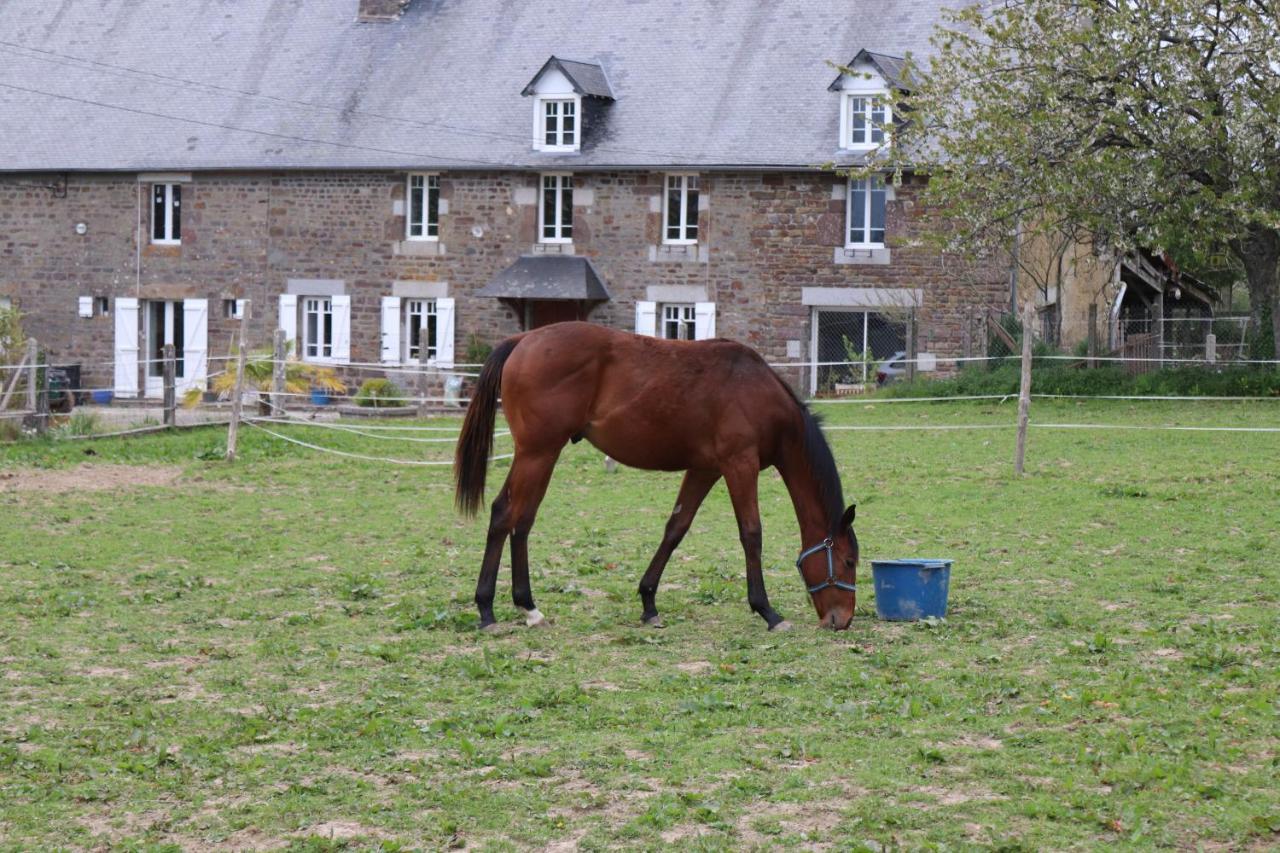Decouverte D'Un Haras Proche Du Mont St Michel Hambye Exterior photo