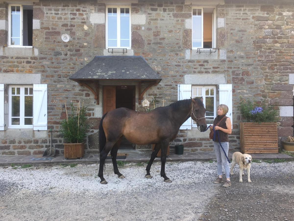 Decouverte D'Un Haras Proche Du Mont St Michel Hambye Exterior photo